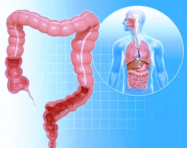 内痔和直肠癌的出血区别,直肠癌出血与痔疮出血有何区别
