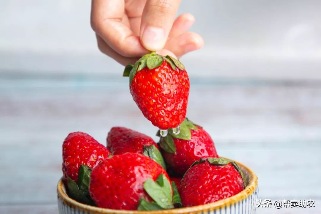 比车厘子还好的水果,比车厘子小的水果