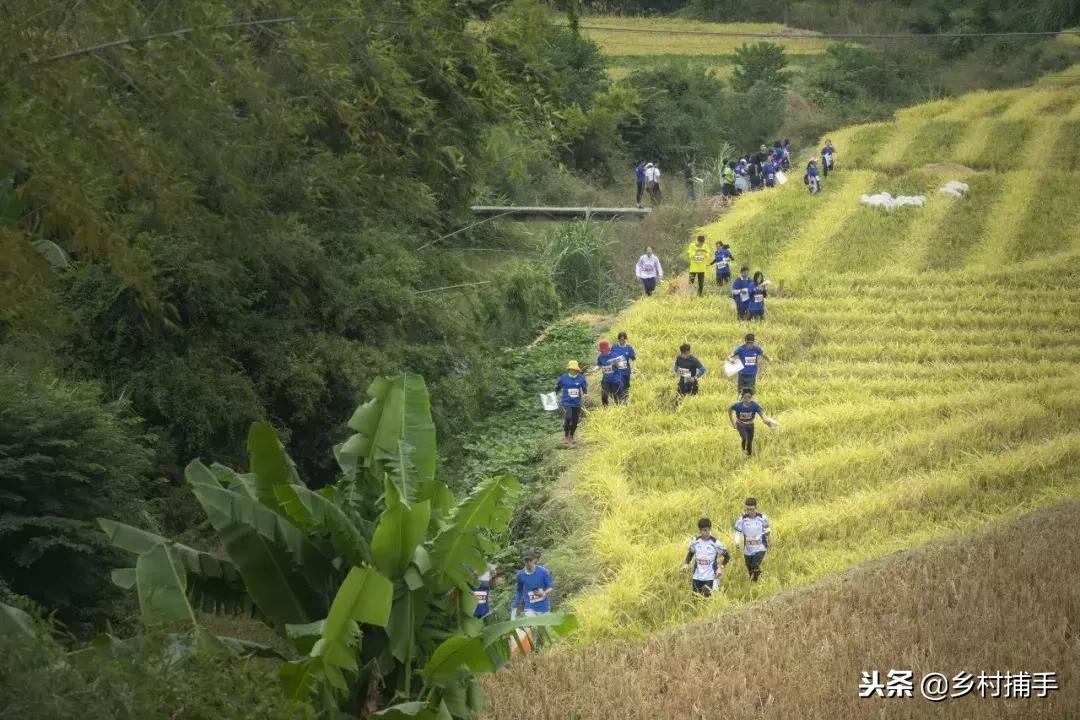 南粤古驿道拍摄后记,2018南粤古驿道展示
