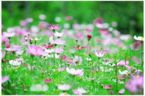 中国成语故事与轶事典故荟萃,古代名人典故成语故事