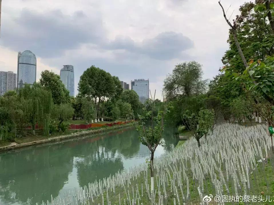 成都值得去的免费景点,成都景点小众游乐场