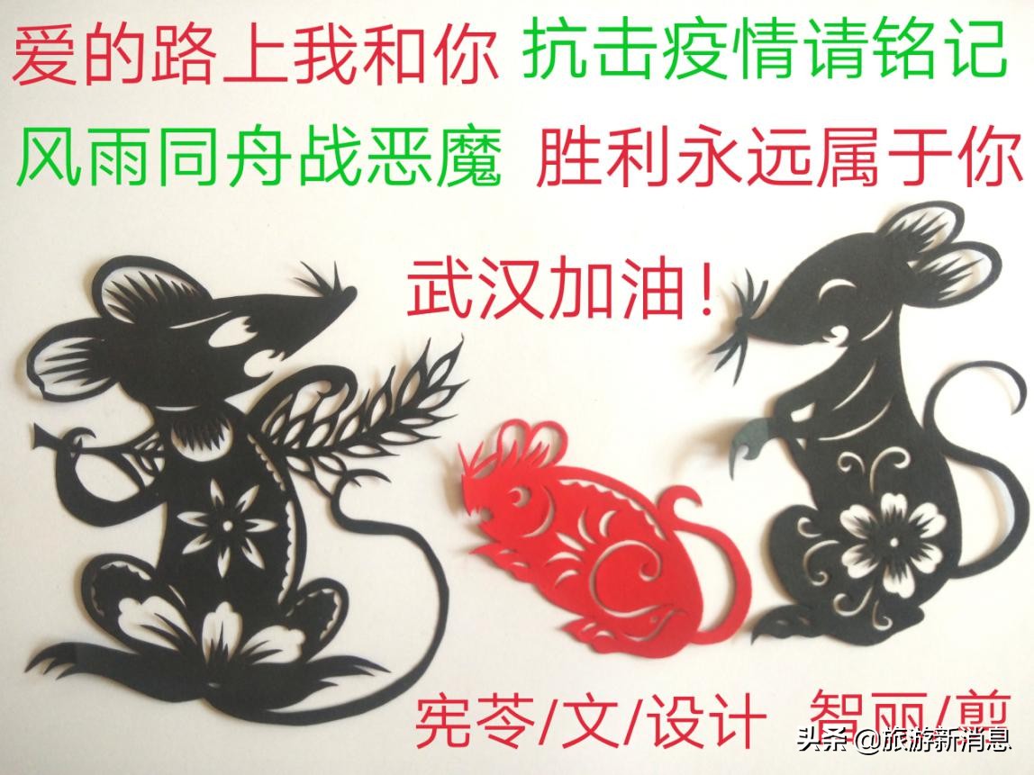 杩庢柊鏄ユ毃寮樻壃鎶楃柅绮剧鍓焊鏁欑▼,鍓焊鑷存暚鎶楃柅