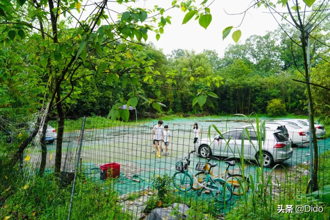 肉测评探店美食,成都临期超市