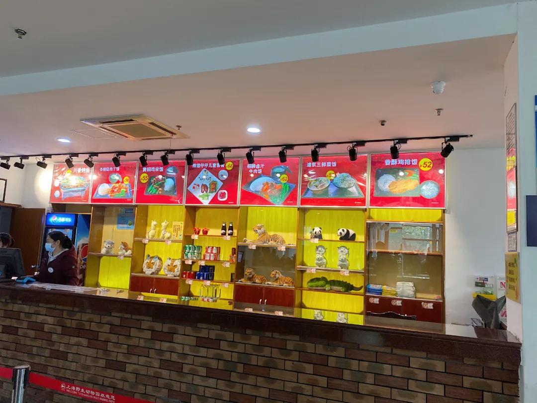 上海野生动物园旅游攻略路线推荐,上海野生动物园旅游攻略50字