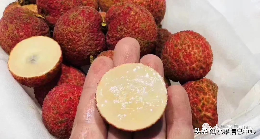 海南水果都有哪些品种图片及名称,海南水果上市时间表赶快收藏吧