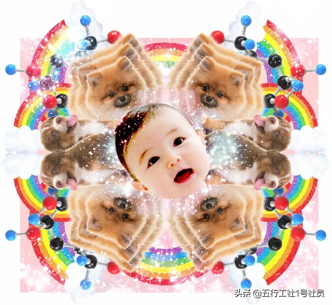 纽约时报年度最佳童书绘本推荐,纽约时报年度最佳图书