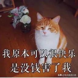 没钱可以说nomoney吗,为什么是ihavenomoney