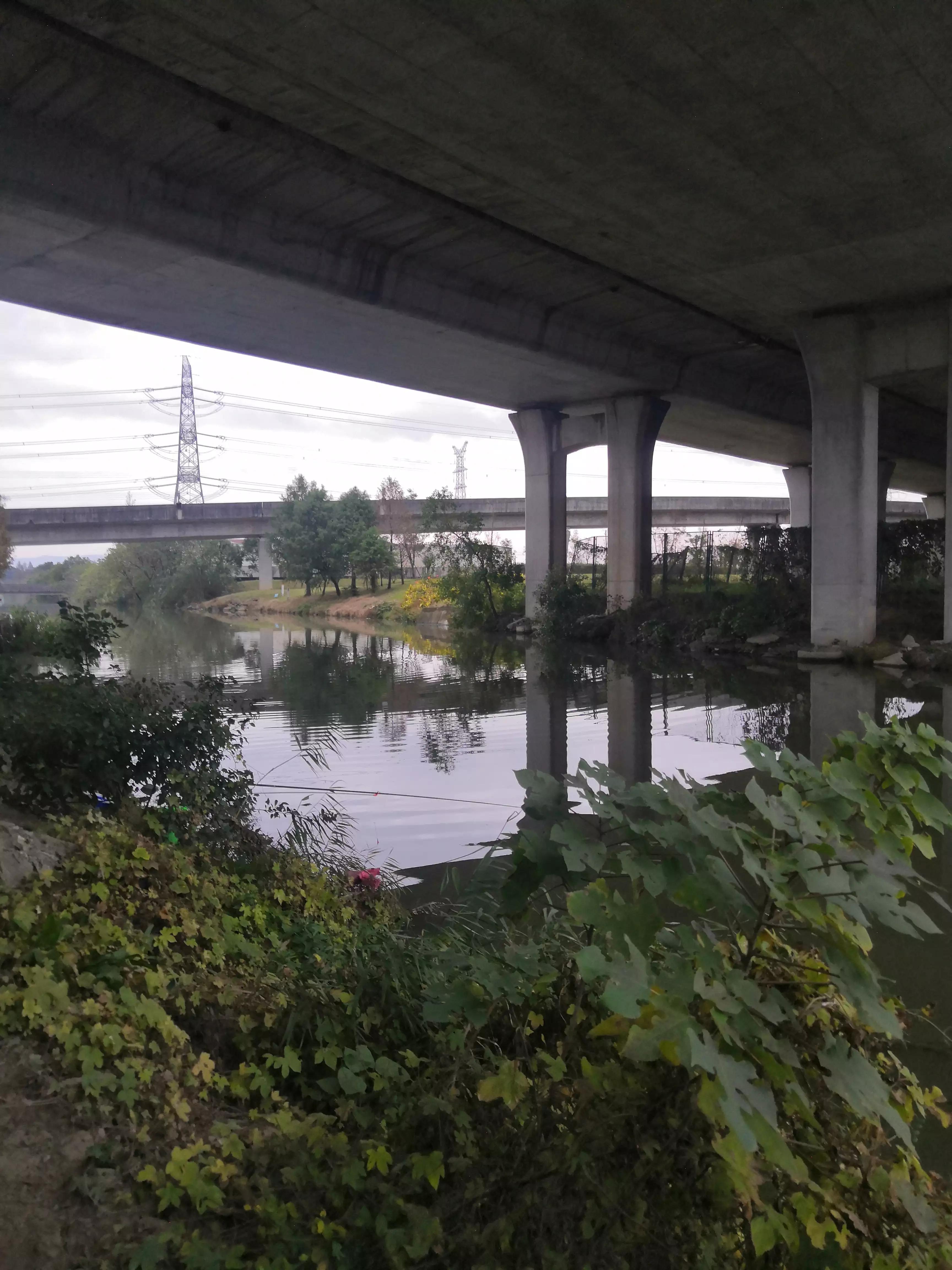 英雄桥野钓视频,英雄大桥底钓鱼开车路线