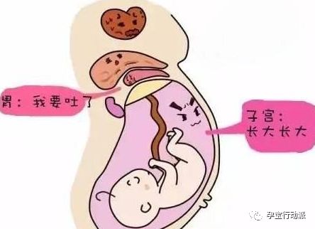 孕期周刊,孕期日记第21周