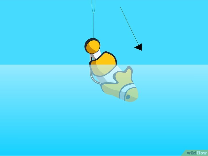 野外钓鱼的技巧和方法,蚯蚓加蜂蜜钓鱼的正确方法