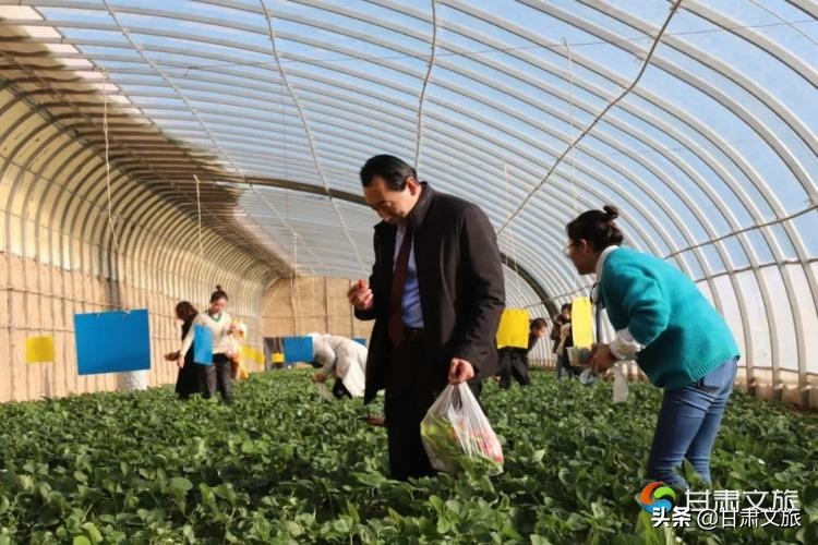 陇原最美退役军人先进事迹报告会,陇原退役军人优秀事迹