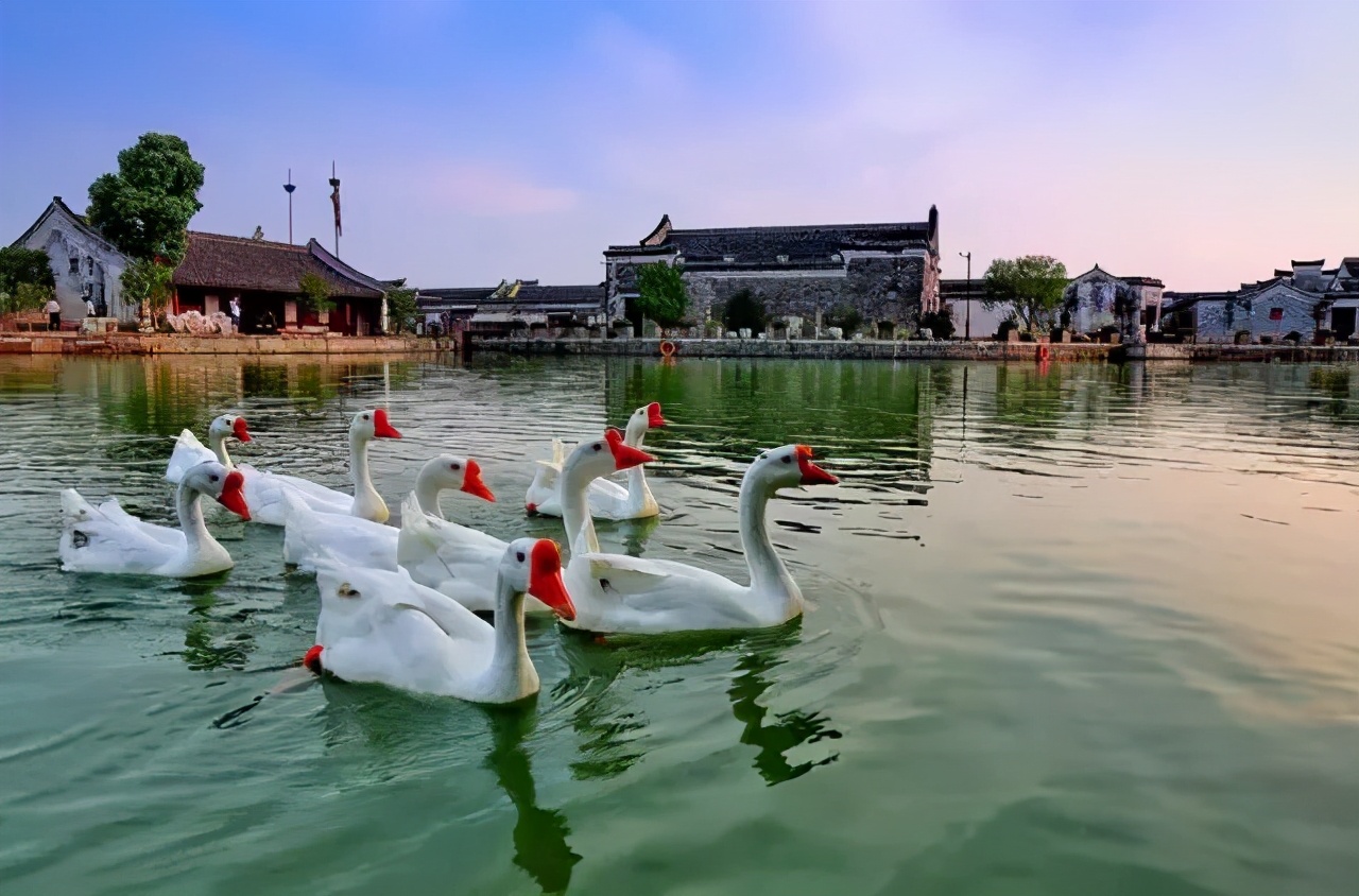 冬天九龙湖旅游攻略,冬天的九龙湖风景区图片