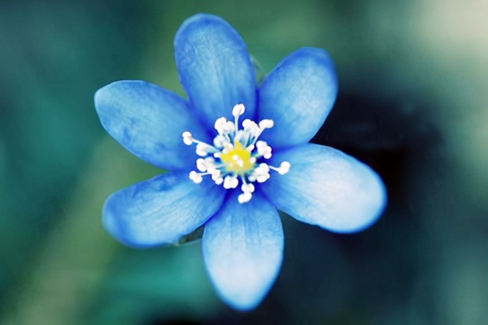 心直口快为什么没人缘,心直口快原来是一种愚蠢