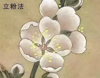 工笔画红叶染色技法,工笔画牡丹花头染色技法步骤