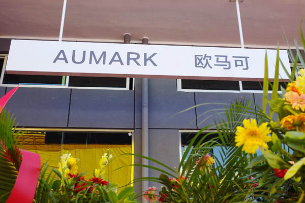 大湾区加速布局欧马可剑指巅峰