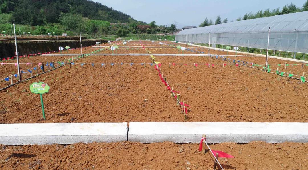 一起去瓶窑“拿块地”！古城旁，南山下，50个平方200元......