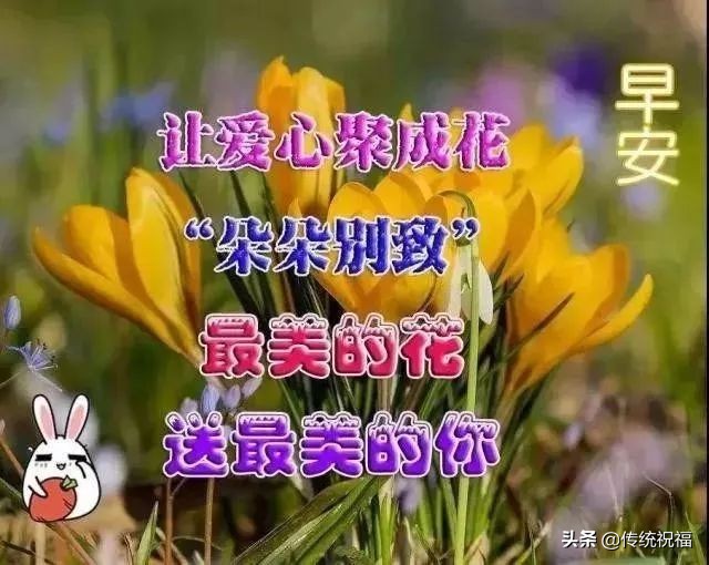 早上好问候祝福语暖心句子图片,早晨问候早上好的暖心句子图片