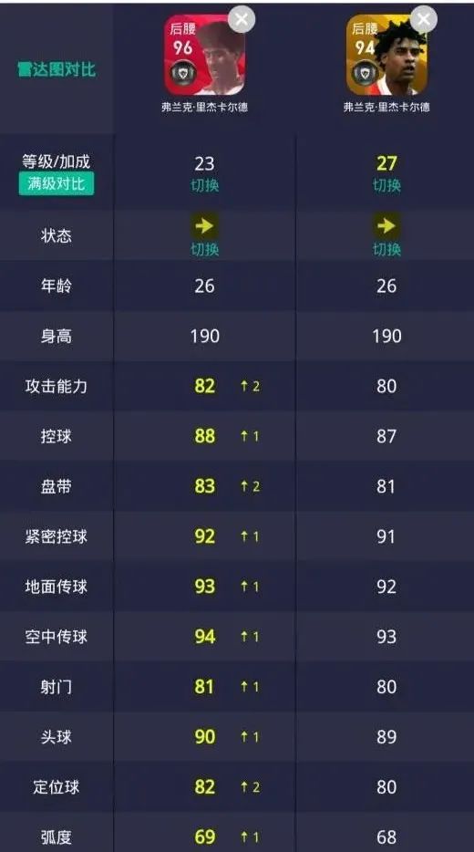 黑天鹅里杰卡尔德当年有多帅,里杰卡尔德足球场上的黑天鹅