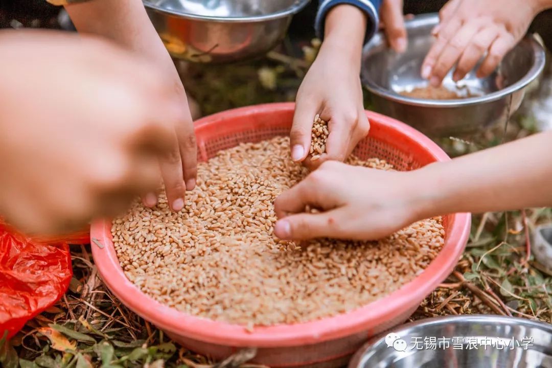 翻地、播种…无锡老小将课堂搬到了田间地头