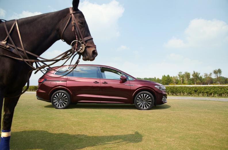 威然和大v,威然是大v吗