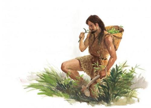 古代吃不到牛肉？别逗了，城市中产阶级都能吃得到