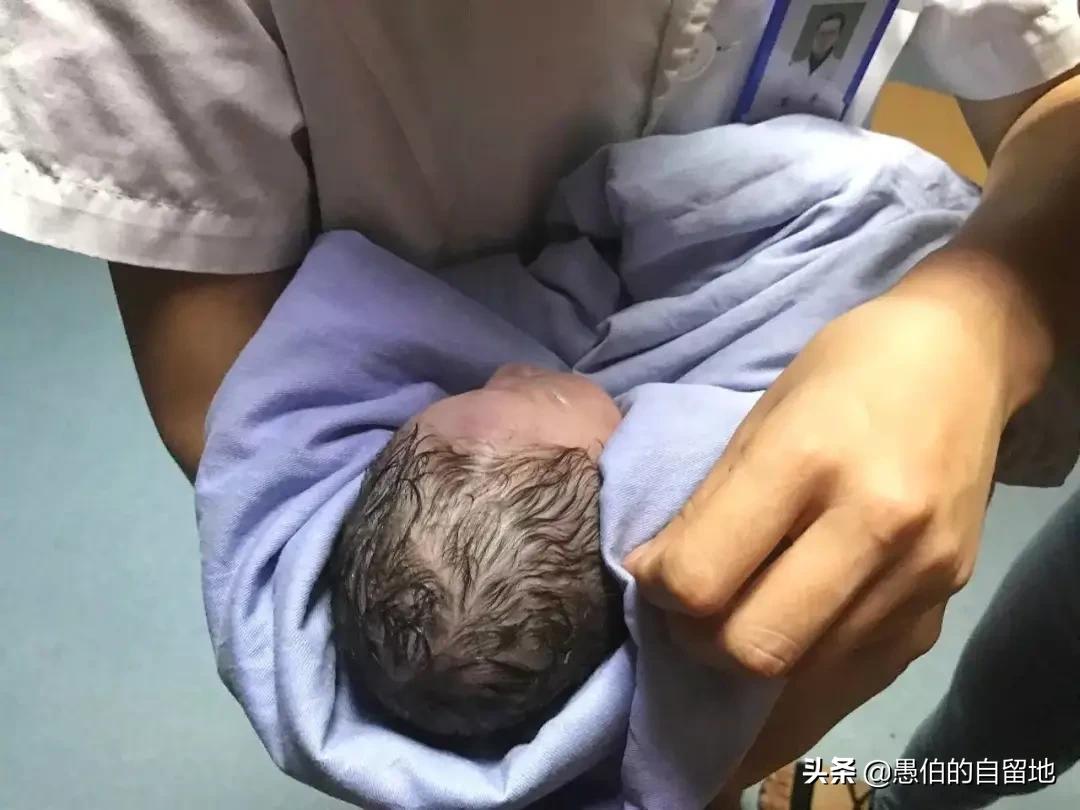 这是个真实的故事发生,这是一个真实的故事简介