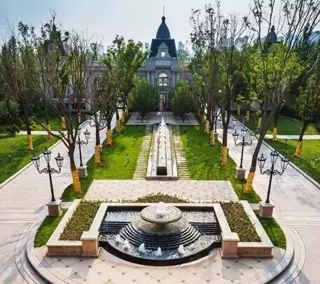 绿化行业的苗木术语大全,绿化苗木的专用术语