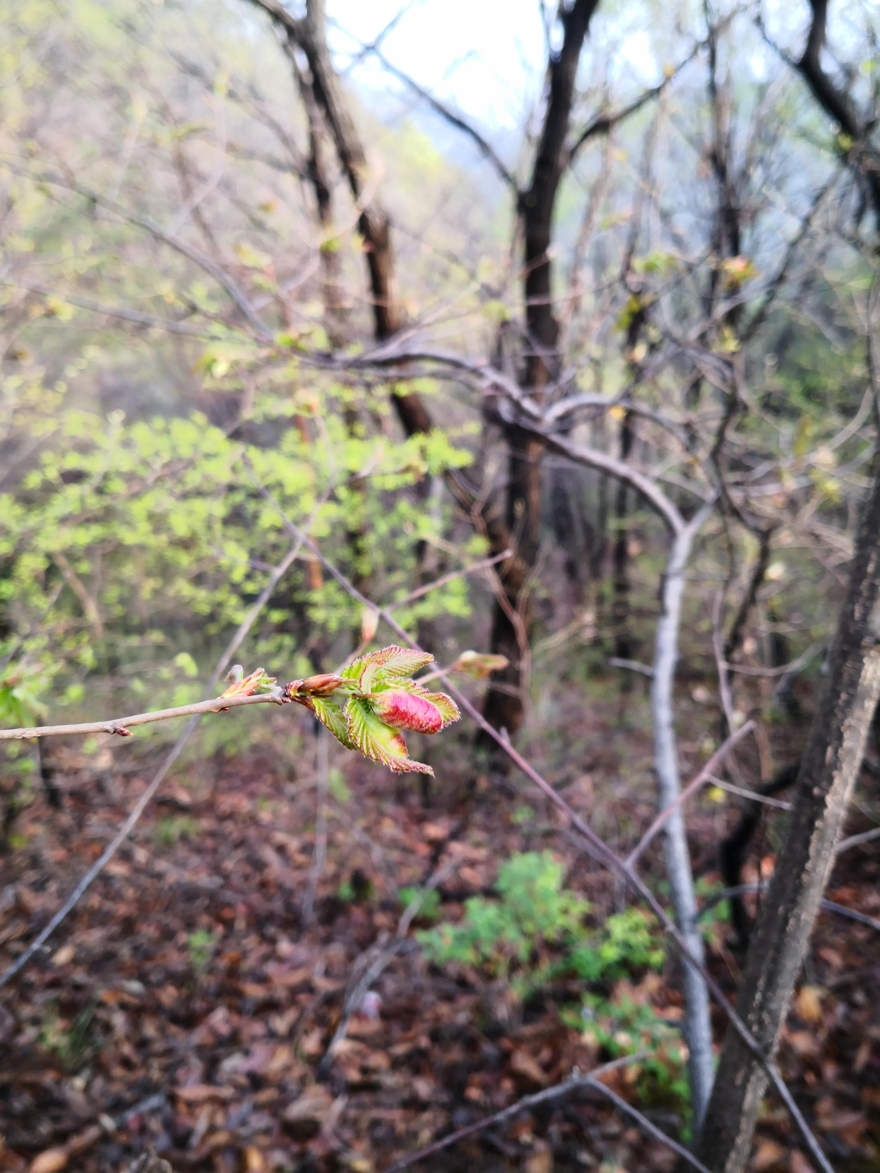 爬山第二天小腿肌肉僵硬如何缓解,爬山后小腿疼如何缓解