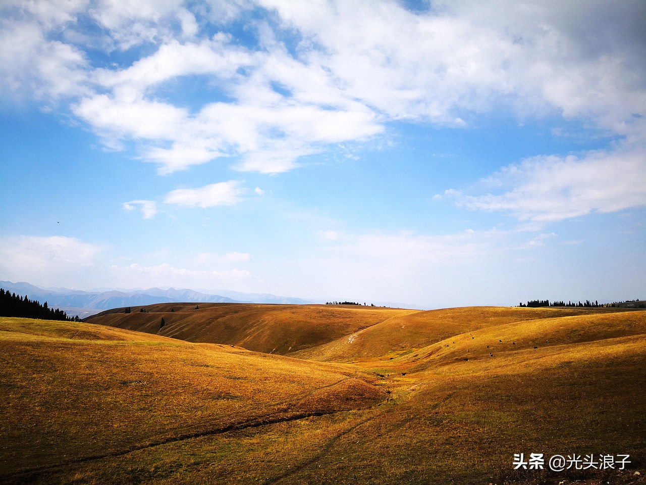 走进大自然观赏大自然的美丽风光,喀拉峻大草原风景太迷人