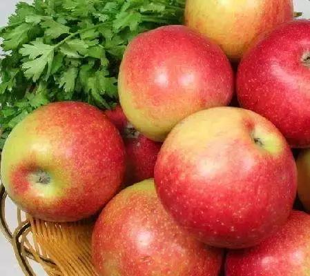 吃了这么多年的苹果竟然吃错了,好吃的苹果都有哪些品种