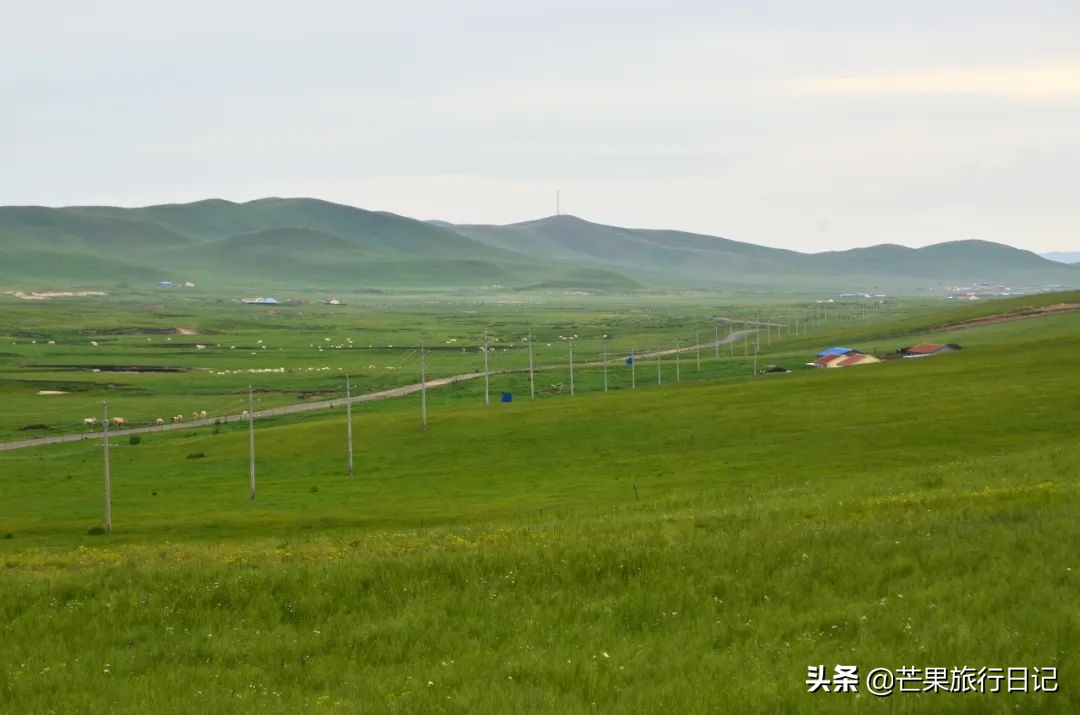 内蒙古最东边的草原,内蒙古真正的草原在哪里