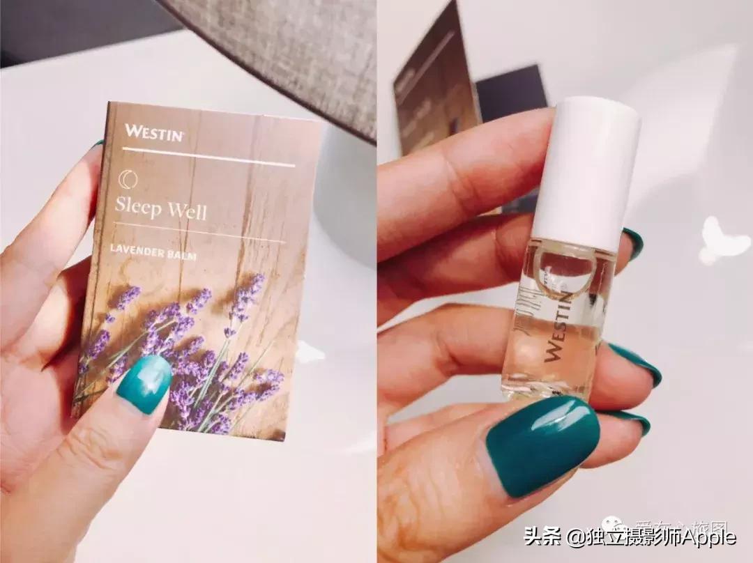 喂鳄鱼、看篮球比赛和太空中心的好玩休斯顿