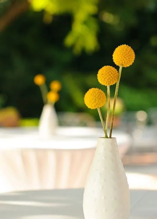 农场怎么装饰好看,农场怎样布置省钱