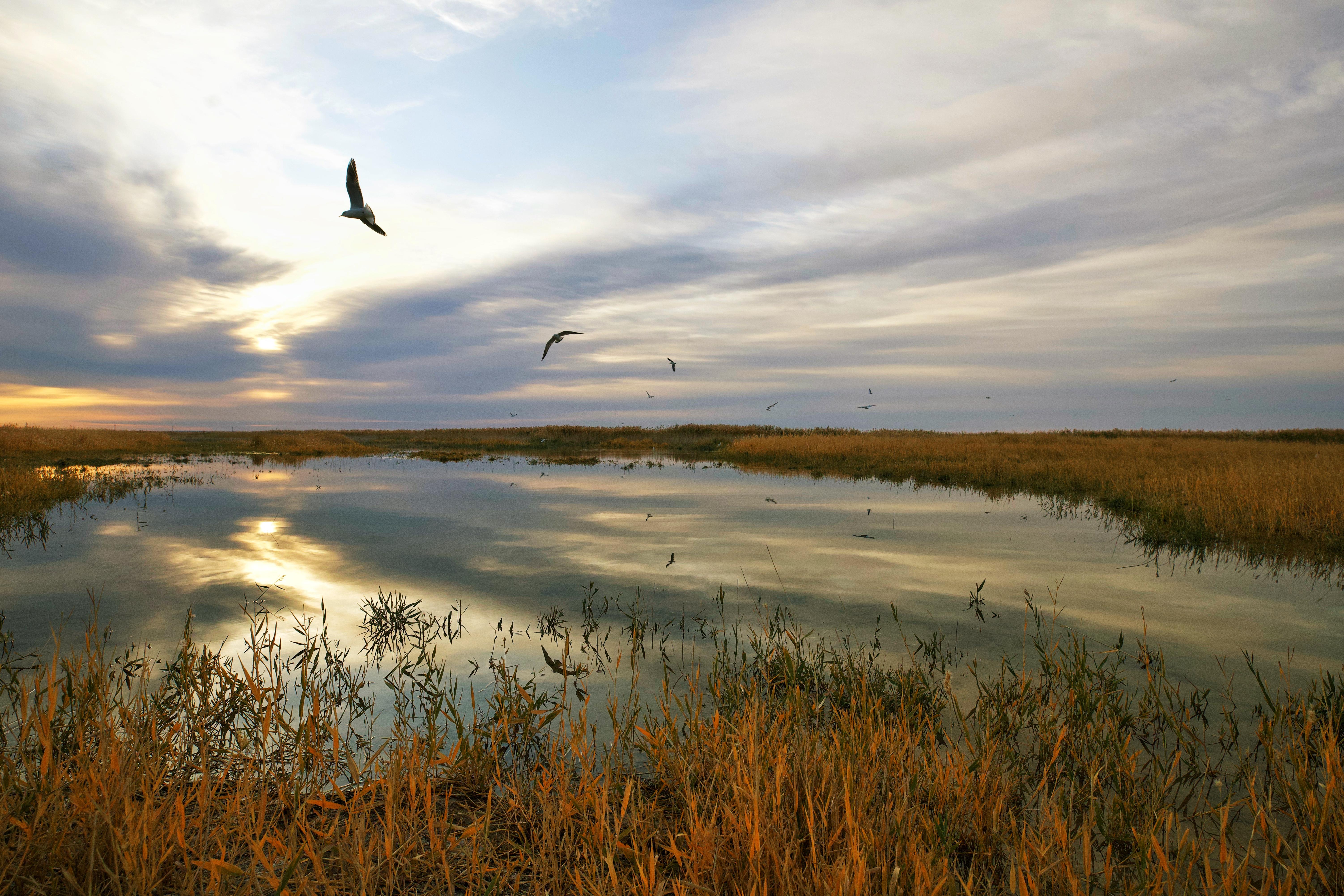 飞行2万公里，足迹10个城市——2020我的手机摄影之旅