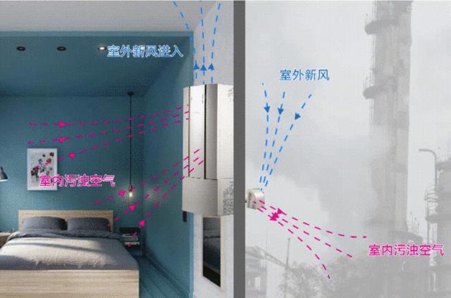 一看就懂！一篇文章让你知道甲醛到底怎样去除