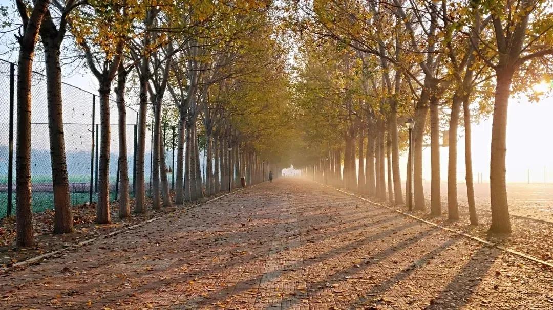 辽宁省民办大学,辽宁理工学院是民办吗