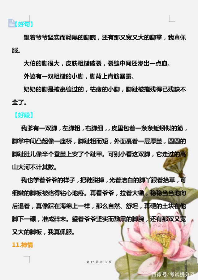 语文积累好词好句好段书单素材,如何写好词好句最好看