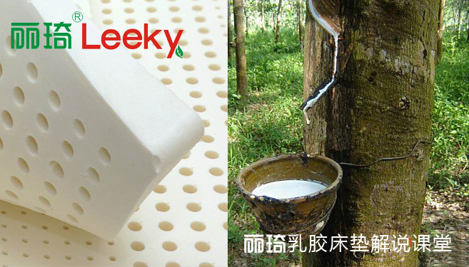 乳胶床垫十大品牌排名,乳胶床垫防塌陷