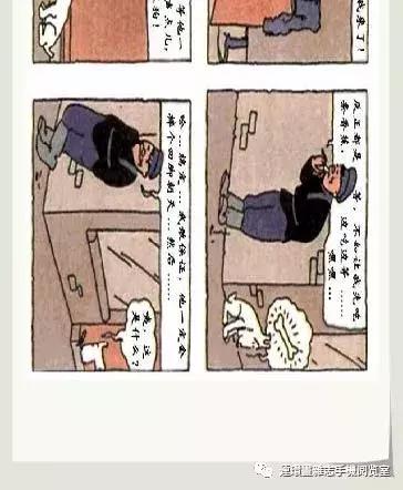 丁丁和丁丁历险记论文,丁丁历险记丁丁的服装