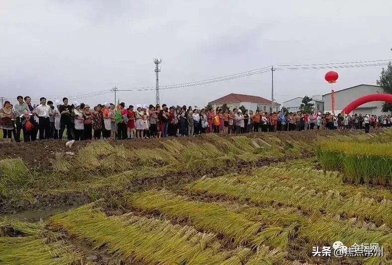 金坛适合一个人安静的地方,金坛的一个小镇