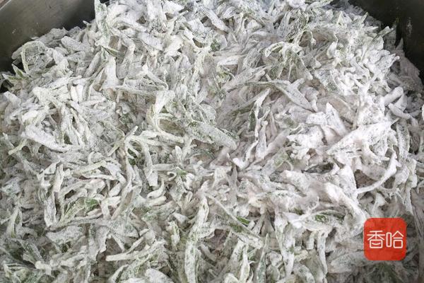 这菜农村遍地生长不值钱，城里一斤5元，夏天抓紧吃，入秋咬不动