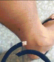 搞笑gif趣图我终于自由了,搞笑gif趣图一步做错步步皆错