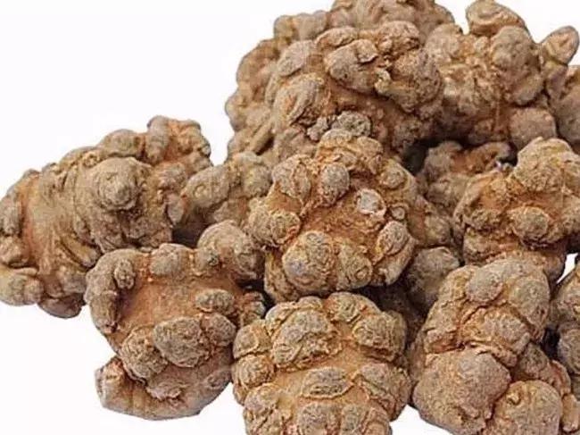 康芝仁中医馆资兴,康芝仁中医馆电话