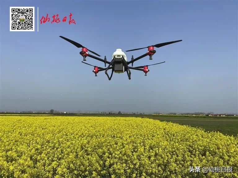 仙桃西流湖工作,仙桃西流河镇今年最新消息