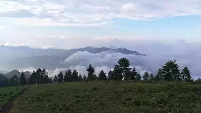 驼梁七月草原美，金莲妖娆入画里/郝贵云