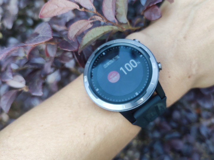 佳明245高驰pace2选哪个,佳明245与高驰pace2功能对比