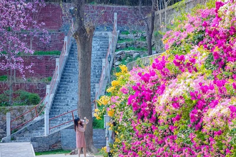 怀柔新闻最近消息,怀柔今年的新闻