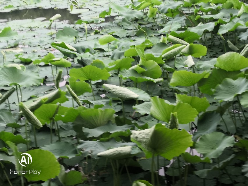 致永远回不去的童年六一儿童节,六一特辑致我们终将逝去的童年