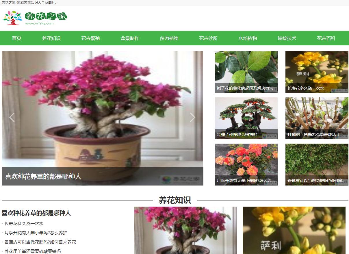 花儿为啥这样红,花儿为什么这样红科普小视频