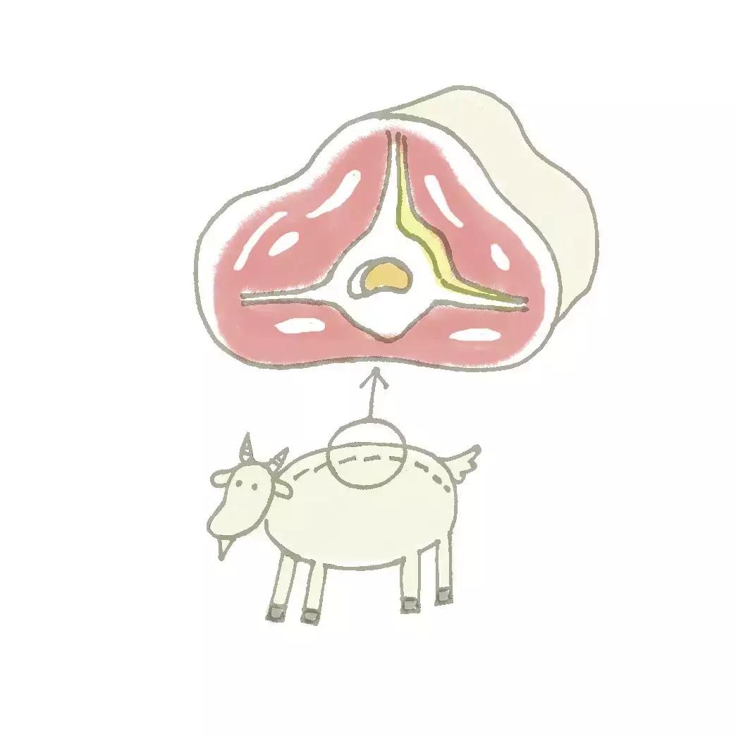 垃圾分类重难点,垃圾分类知识分享